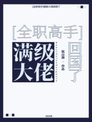[全职高手]满级大佬回国了