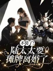 一朝离婚，陆太太成为了香饽饽