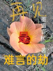 再见是难言的劫