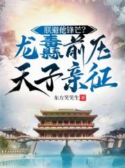 朕避他锋芒？龙纛前压，天子亲征