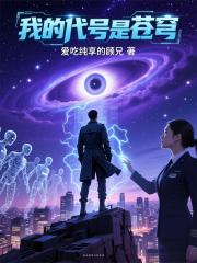 我的代号是苍穹