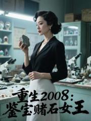 重生2008：鉴宝赌石女王