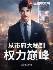 从市府大秘到权力巅峰