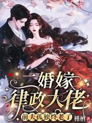 二婚嫁律政大佬，前夫孤独终老了